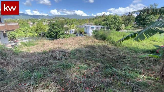 Bo. Ceiba Norte, Terreno en Juncos