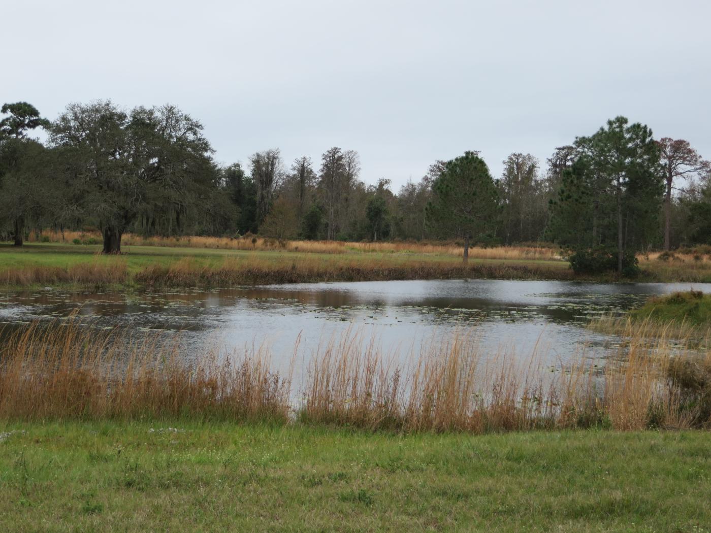 21 Acres Narcoossee
