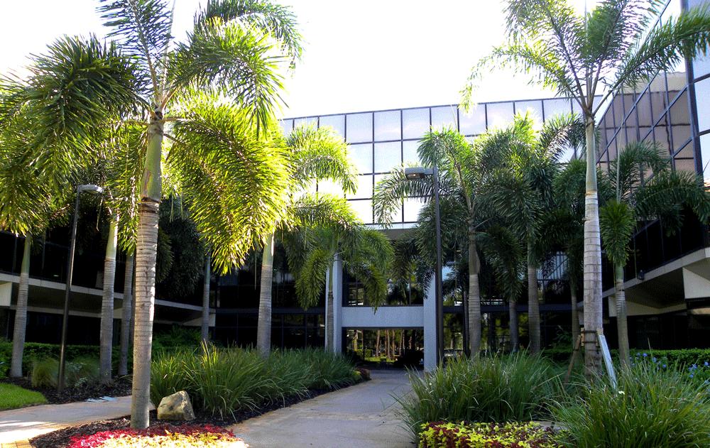 Maitland Forum