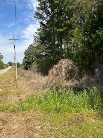 44 Acres in Booming Houston County, Alabama