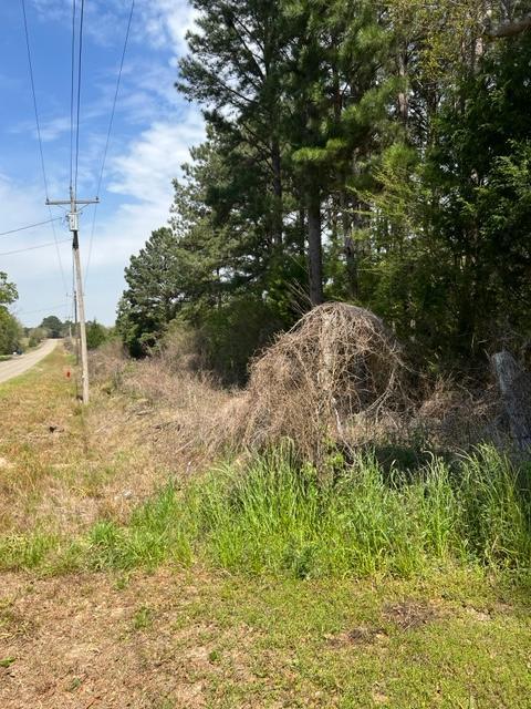 44 Acres in Booming Houston County, Alabama