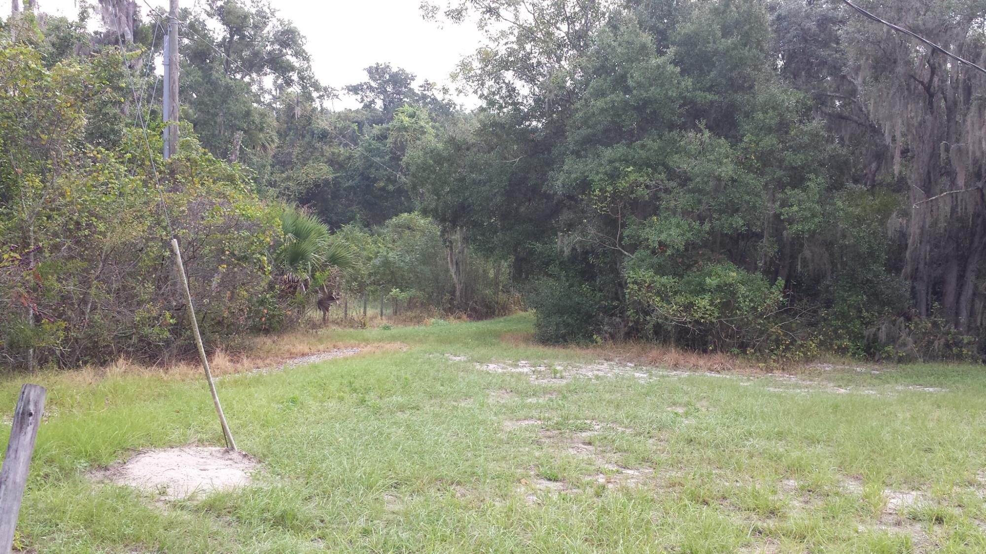 5 Ac Zoned A-1 Ocoee Apopka Rd