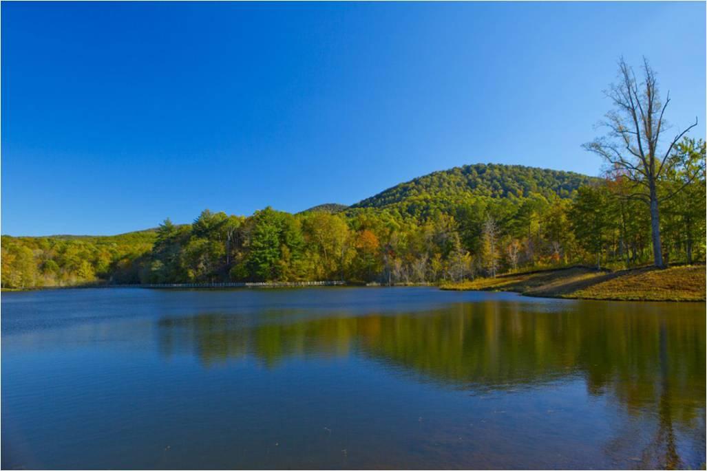 Falling Waters Development - 871.4 Acres