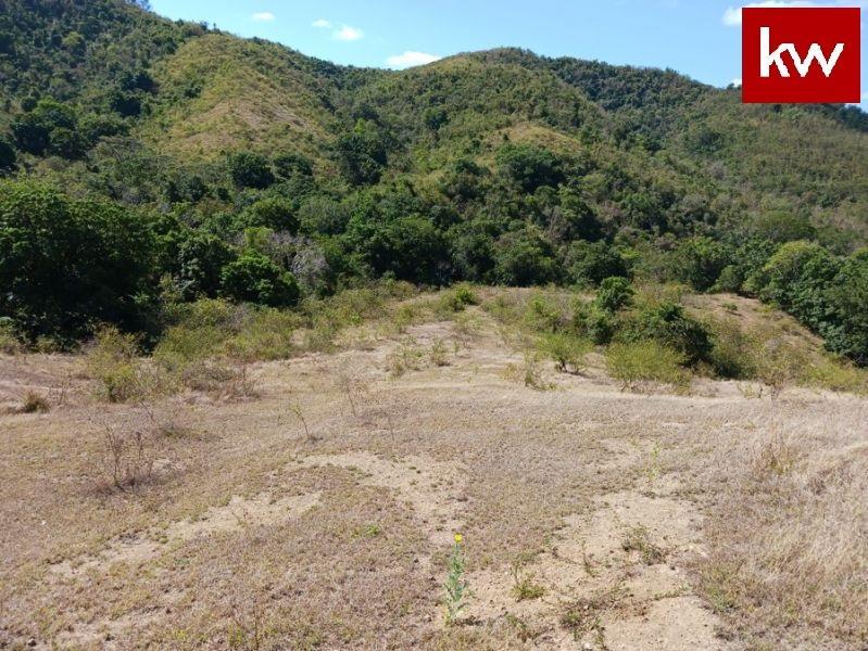 Bo. Palmarejo, Terreno en Coamo