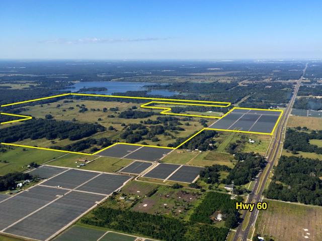 Bankruptcy Auction: 492± ac Agri on SR 60, Plant City
