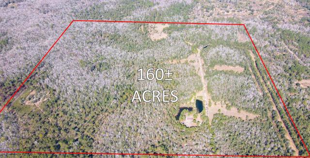 160 ac Hunting /Recreational Land Homosassa