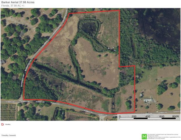 38+/- Acres Yalaha, FL