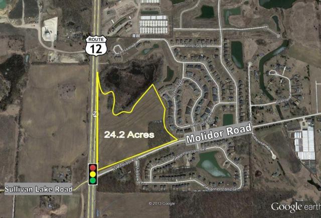 24.2 Acres in Volo