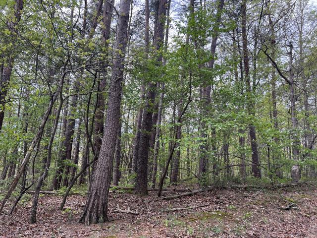Deerfield Estates, Lot 9