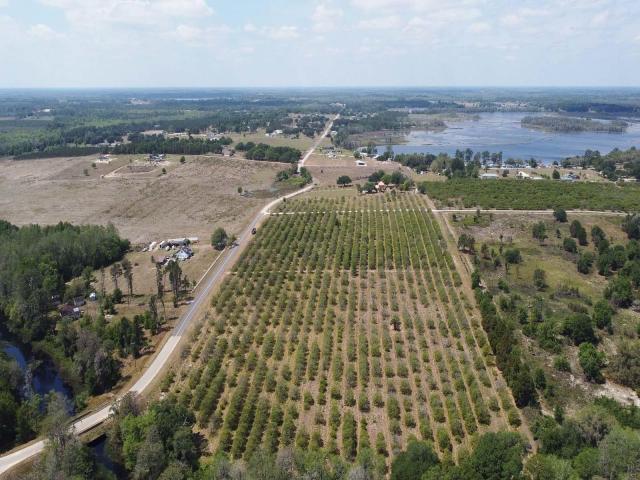 Clermont Residential Lots