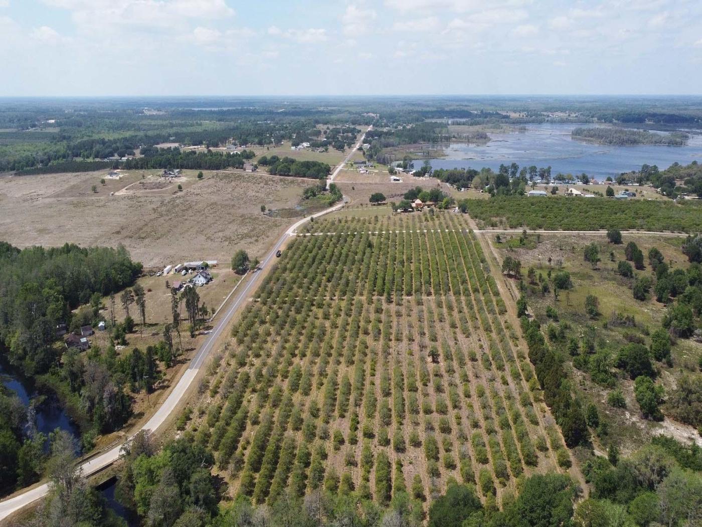 Clermont Residential Lots