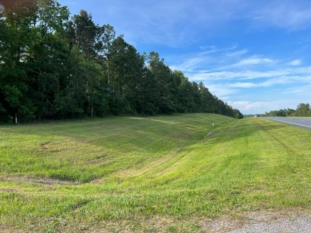 50 Acre Timber Tract & Future Homesite