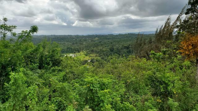 Vega Alta Land 38 Cuerdas