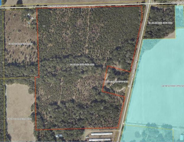 91.6 Acres of Timberland