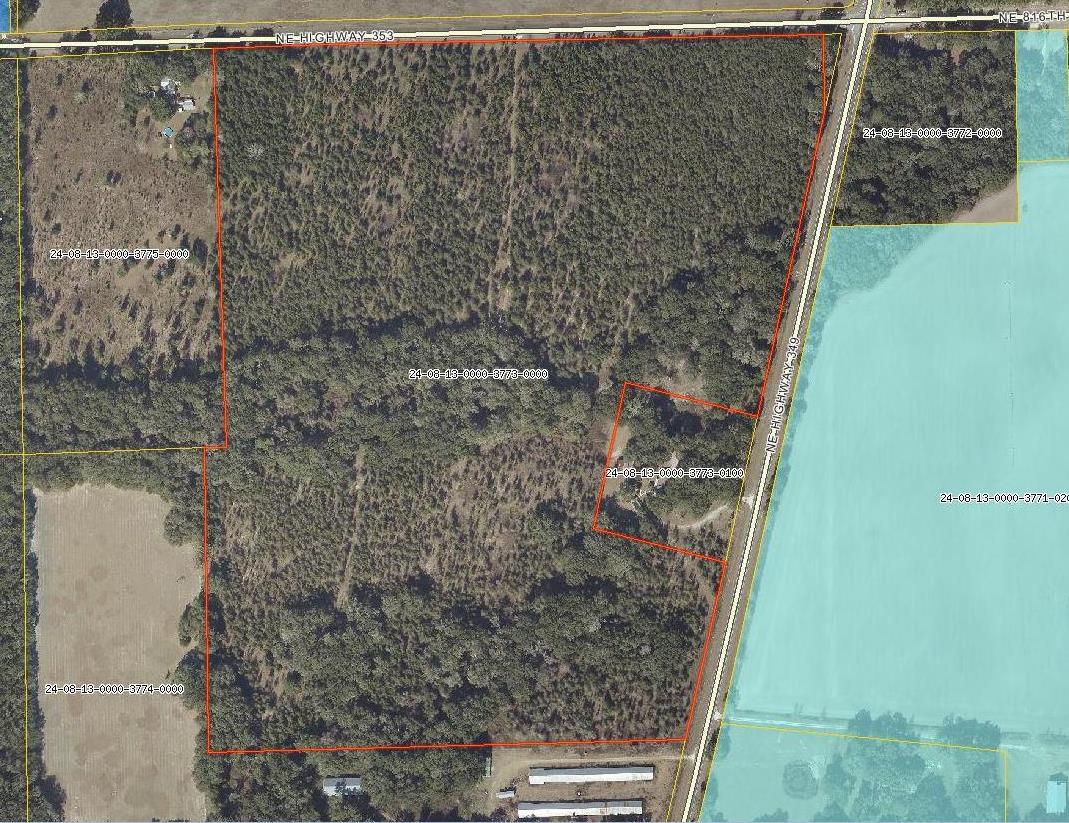 91.6 Acres of Timberland