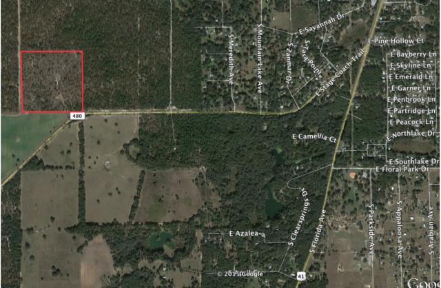 41+- Acres Recreational Land Floral City