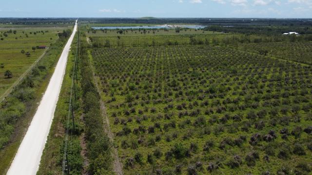 Oslo Road 35 Acres