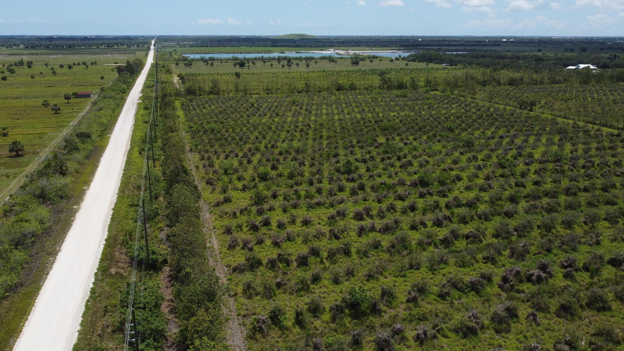 Oslo Road 35 Acres