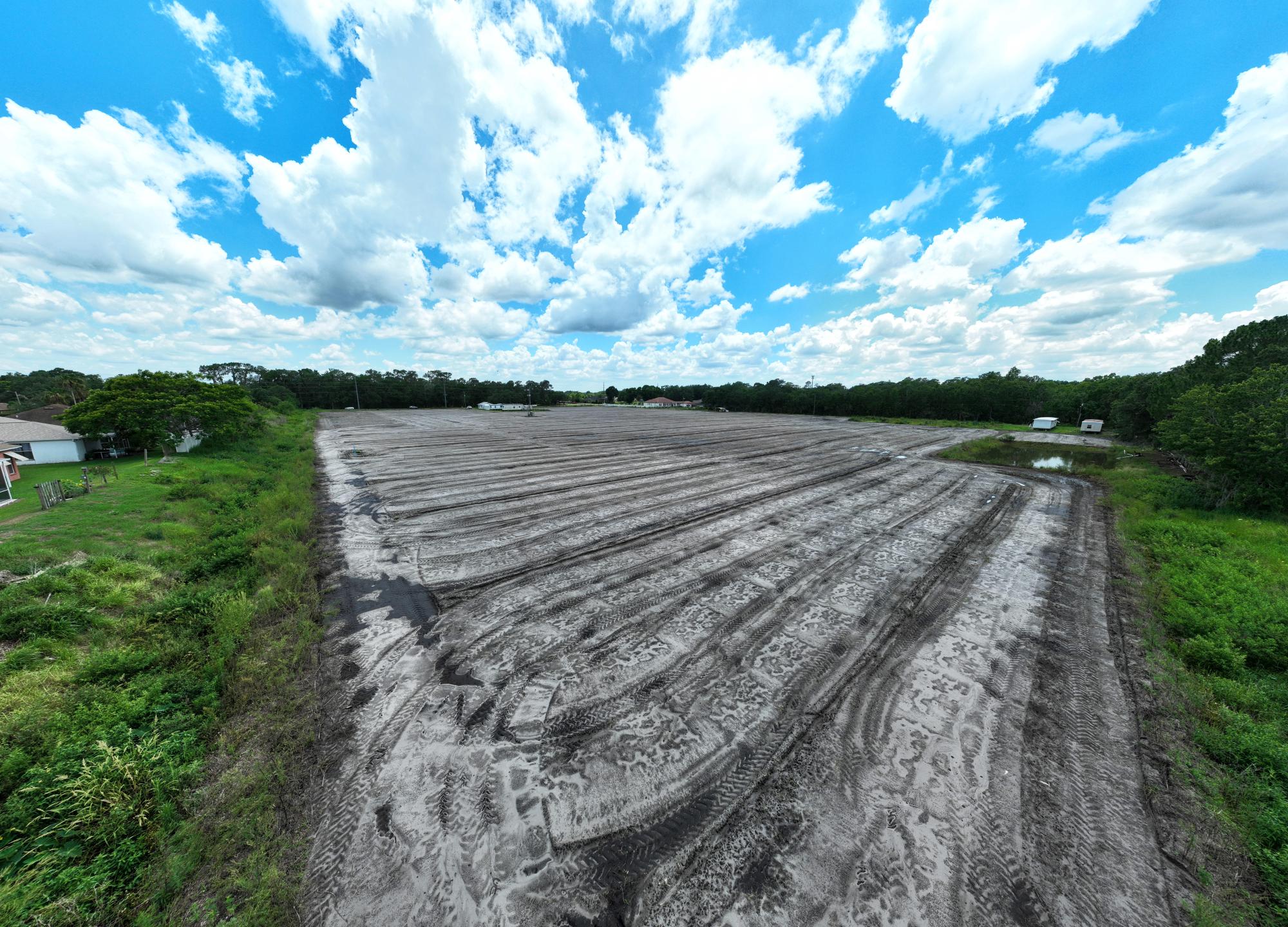 Transitional Plant City Strawberry Tract