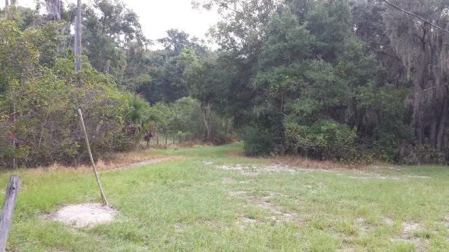 9 Acres off Plymouth Sorrento South of SR 46