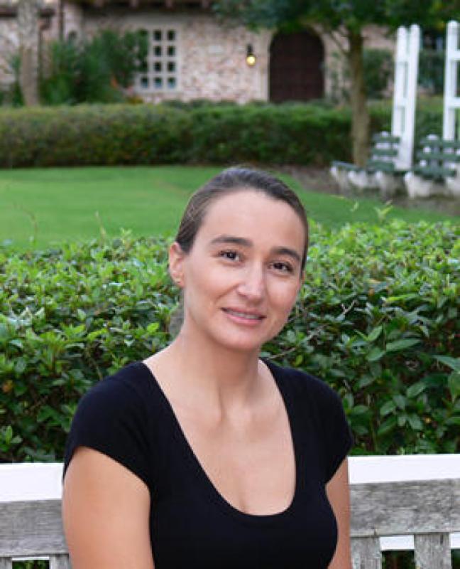 Didem Isik-Widener