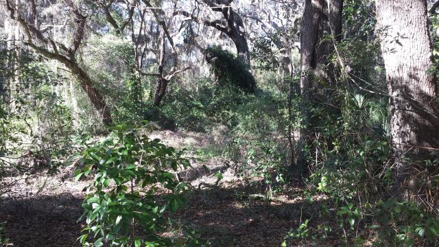 9.83 Acres East Apopka Ready to Develop
