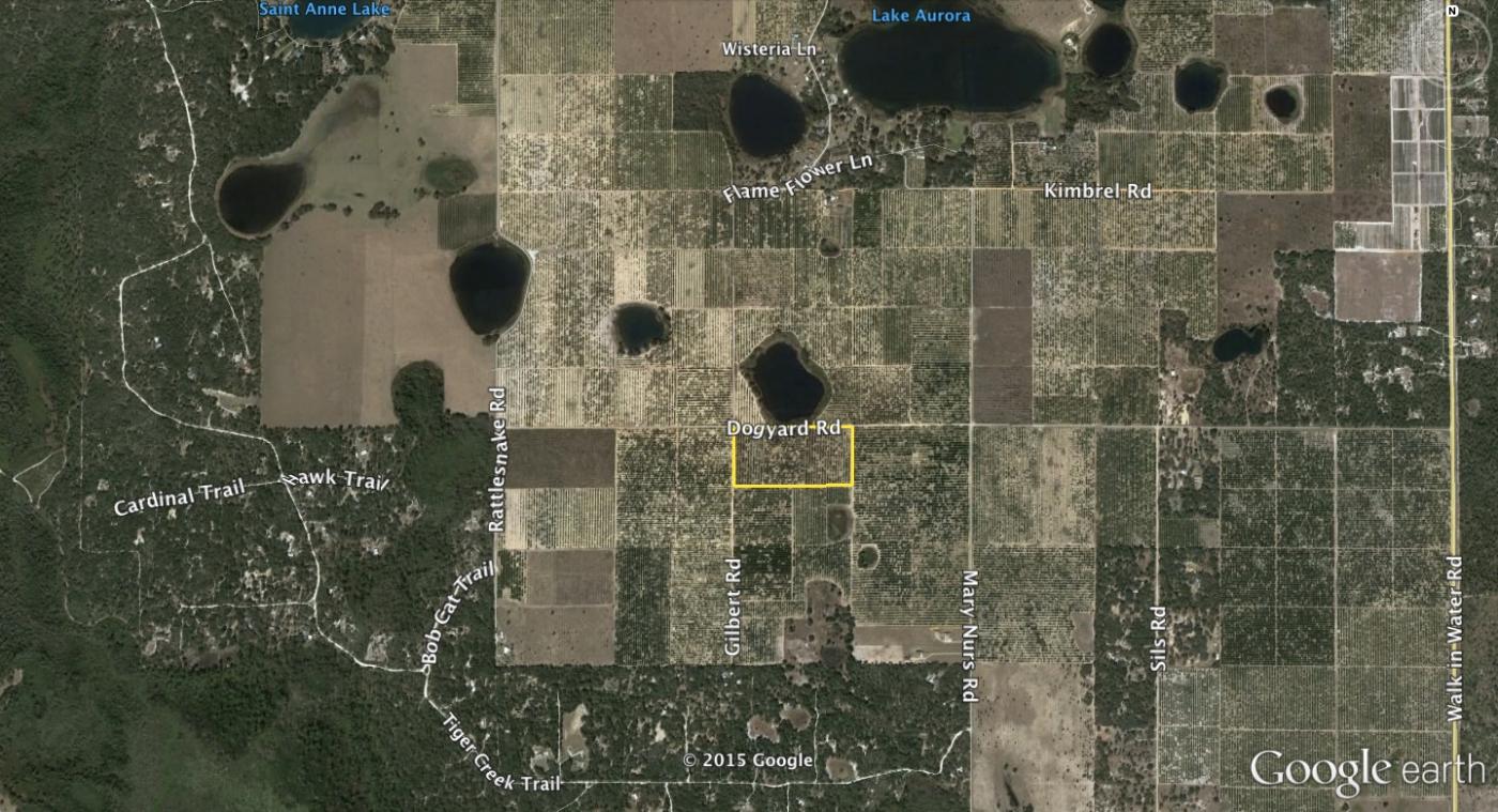 20 Ac Citrus Grove