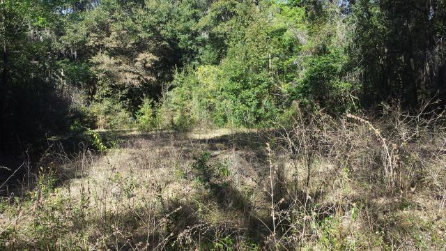 4.89 Acres Zellwood Near US 441
