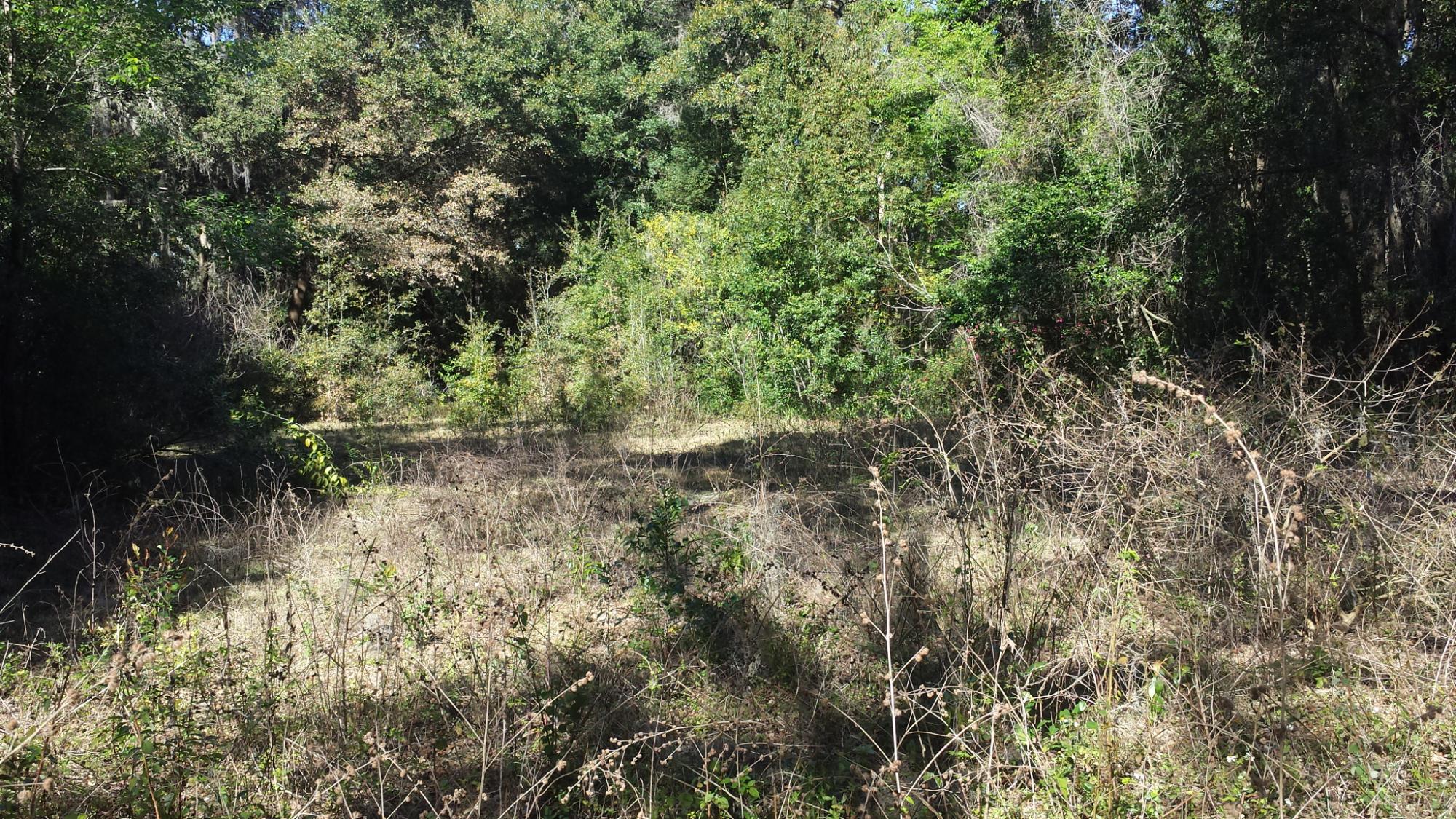 4.89 Acres Zellwood Near US 441