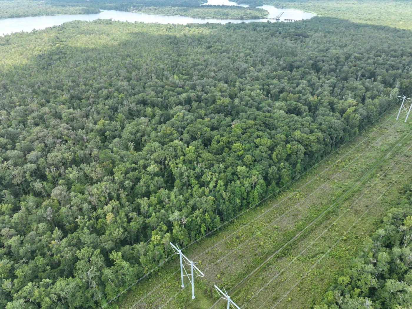 St Johns River Wetlands