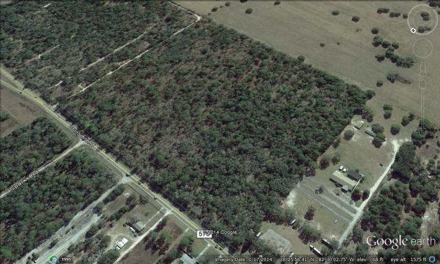 Multi-Use Land Near Suncoast Parkway