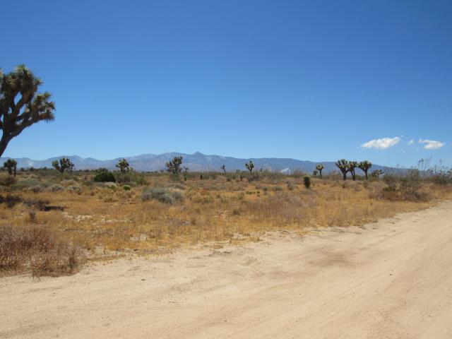 ±9.02 Acres Goss Rd