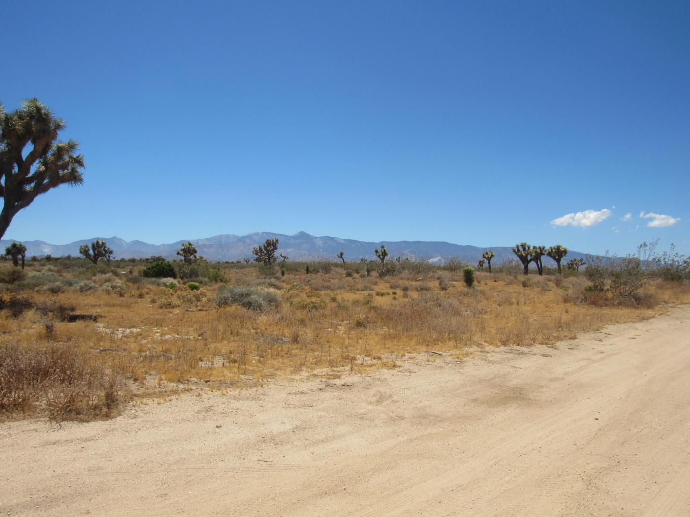 ±9.02 Acres Goss Rd
