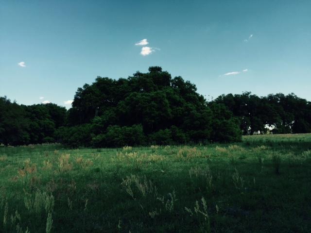 Sumter Crossing 2.69 acres