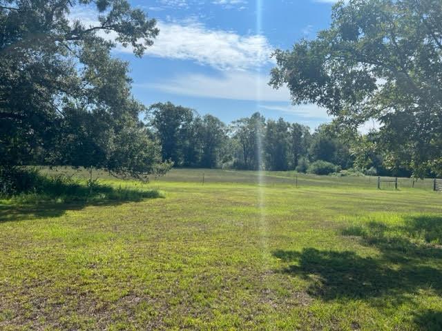 Secluded 240-Acre Cattle Farm in NE Holmes Co