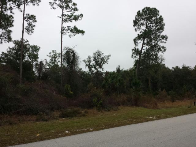 Seminole Woods