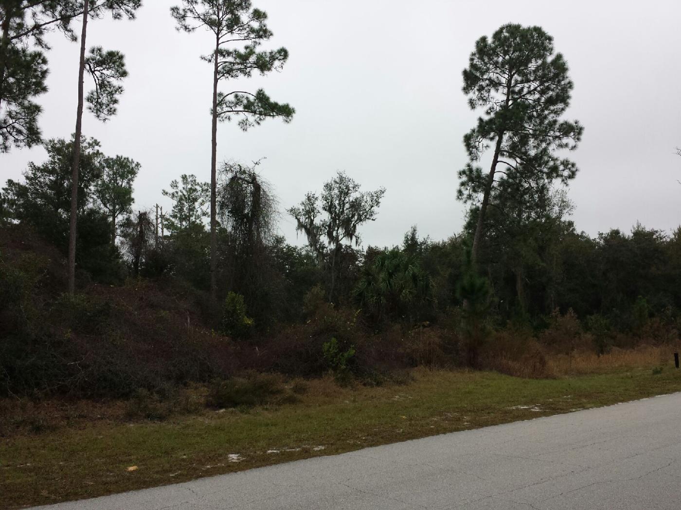 Seminole Woods
