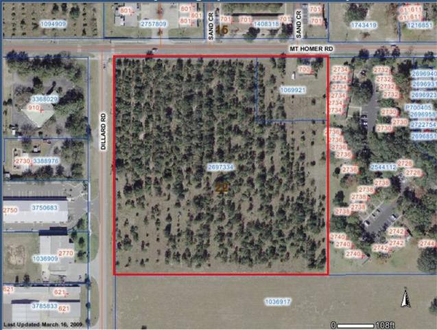 9+ Acres SE Corner of Mt Homer & Dillard Rd