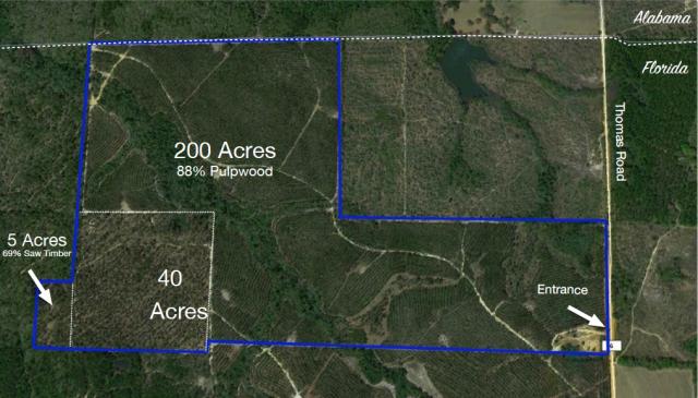 PENDING 257 Ac Timber & Recreational Land