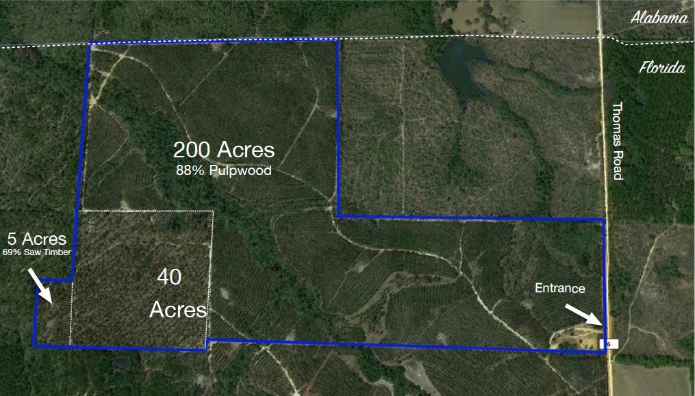 PENDING 257 Ac Timber & Recreational Land