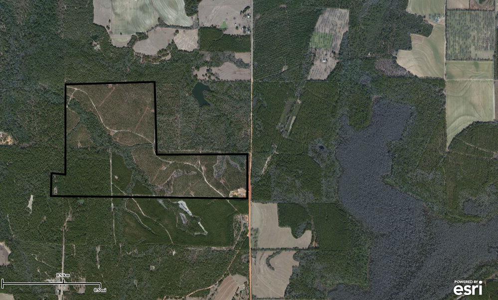 257 Acres Timber - Okaloosa County FL