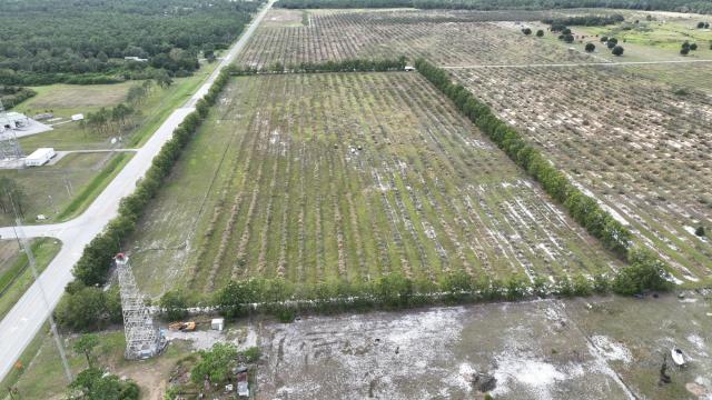 Frostproof Orchard