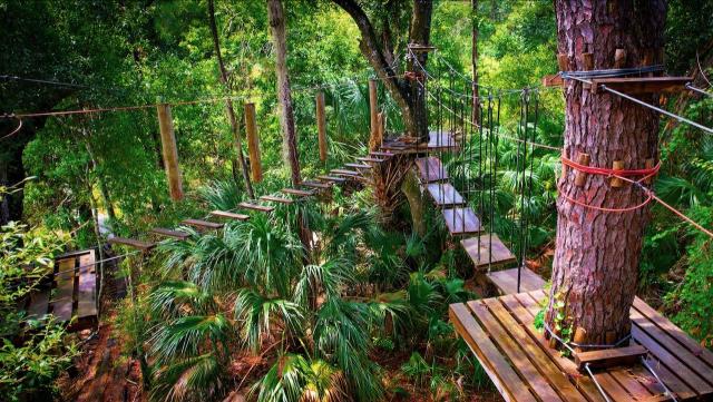 6+AC Recreation Parcel, Crystal River, FL