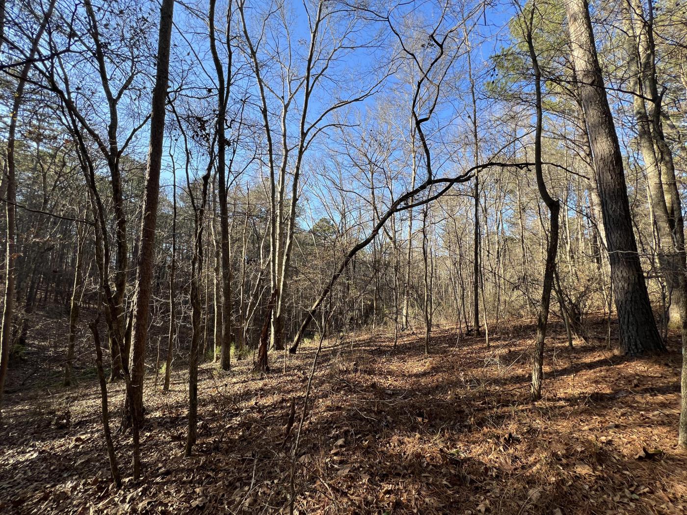 Monroe Road