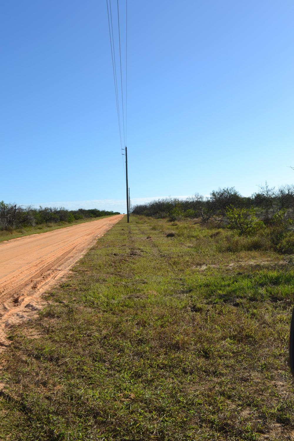 Stokes Road Citrus Land