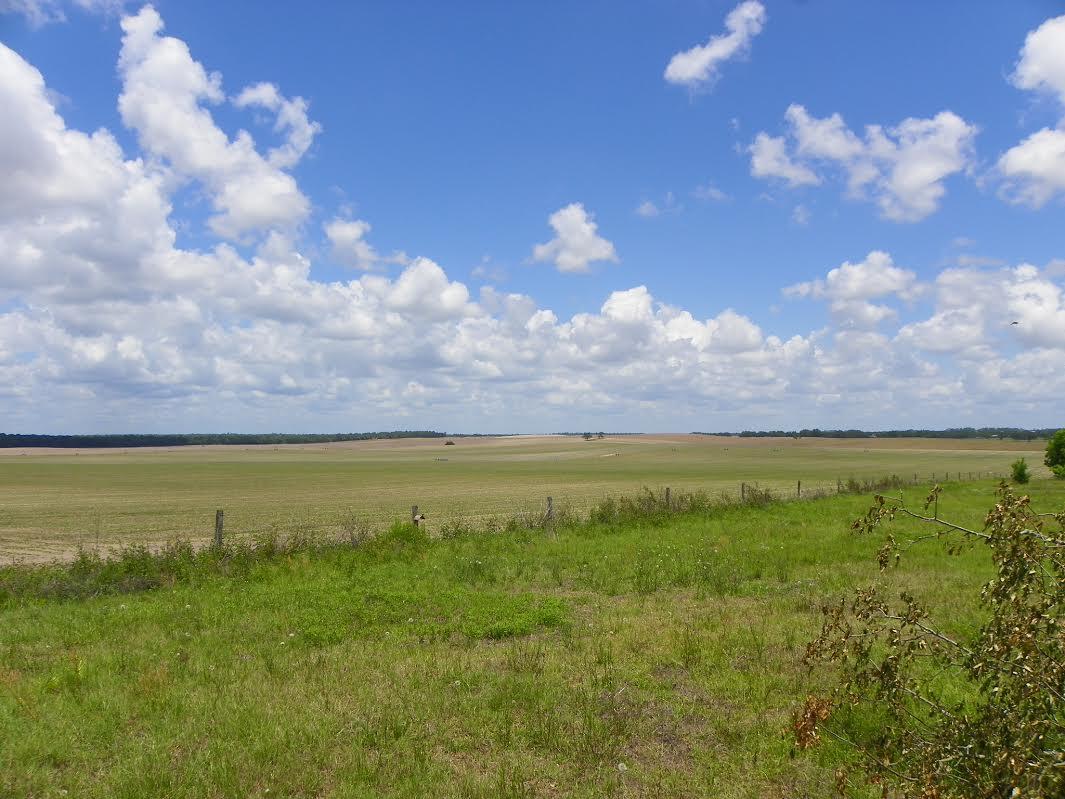 Agriculture Land