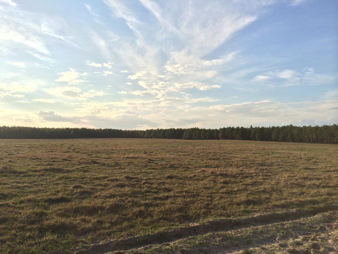 Priced to Sell 8.17 Acres in Oak Hill