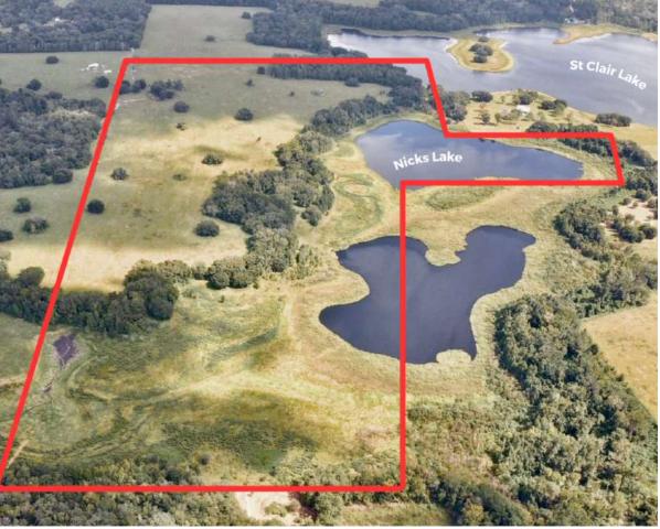 161 ac Lakefront Property in Brooksville