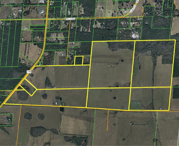 Caledonia Ranch 605 acres Central Florida