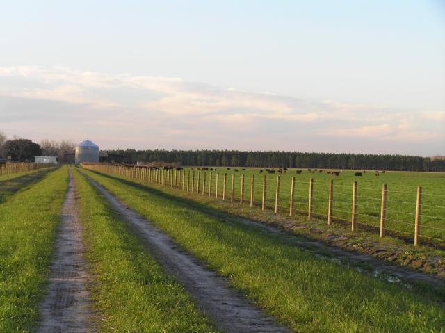 Alachua County Florida Ranches 1920 acres